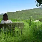 Sattelhof Türnitz