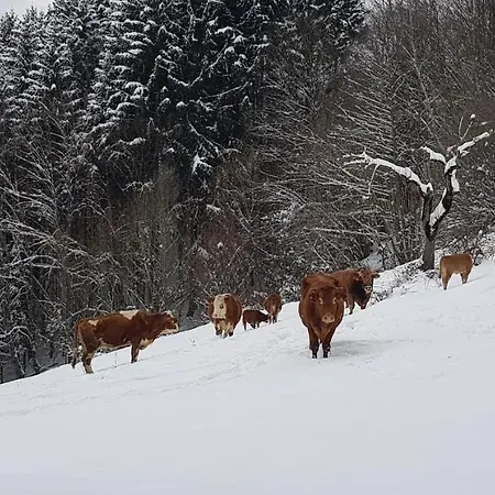 Sattelhof Appartamento