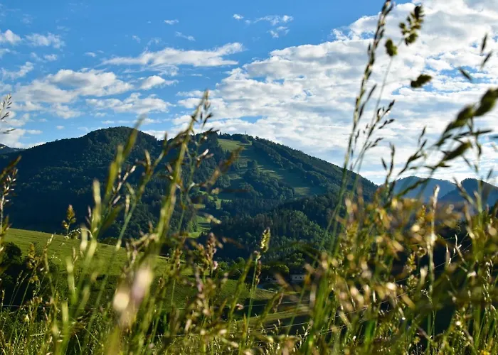 شقة Sattelhof Türnitz